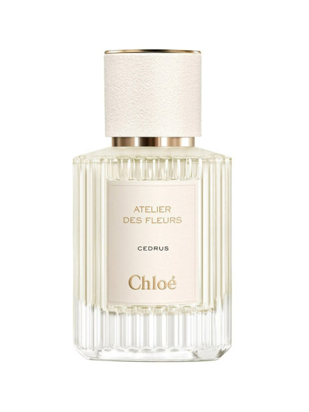 Chloe Atelier des Fleurs Cedrus