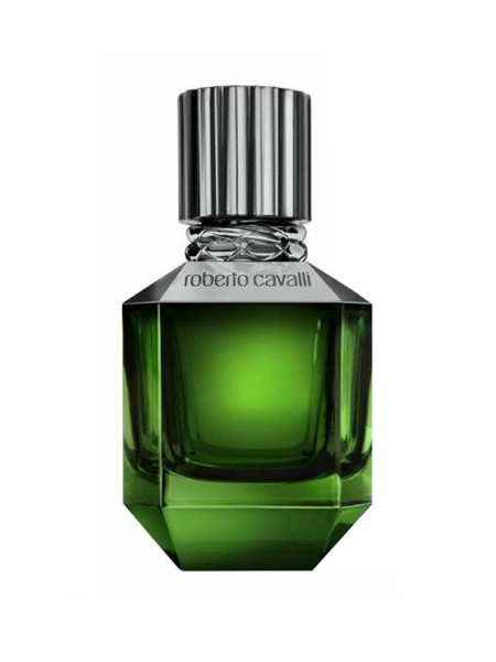 Roberto Cavalli Paradise Found For Men Roberto Cavalli Paradise Found For Men